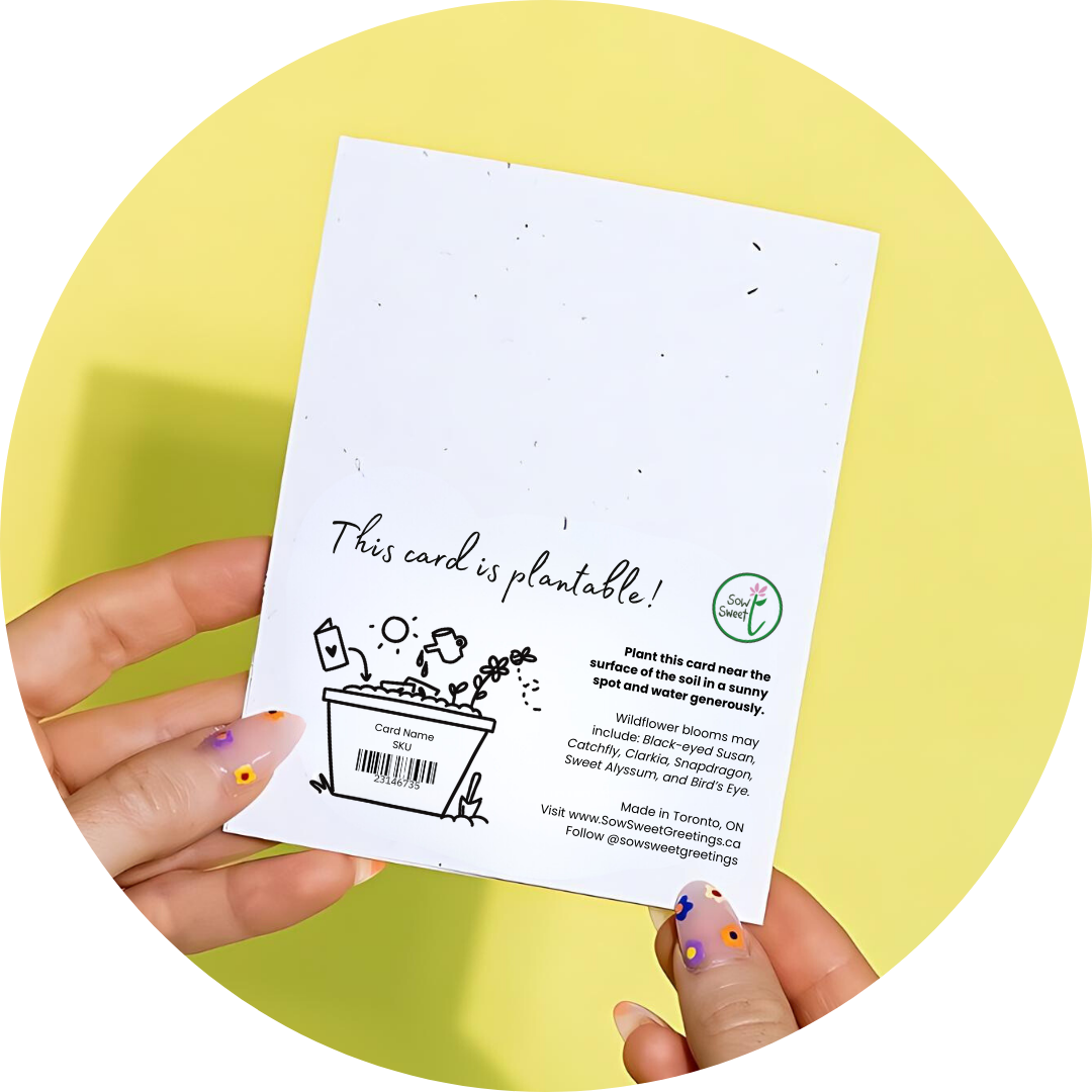 <img src="seasons.jpg" alt="Seasons seedlings greetings Christmas sustainable zero waste greeting card">