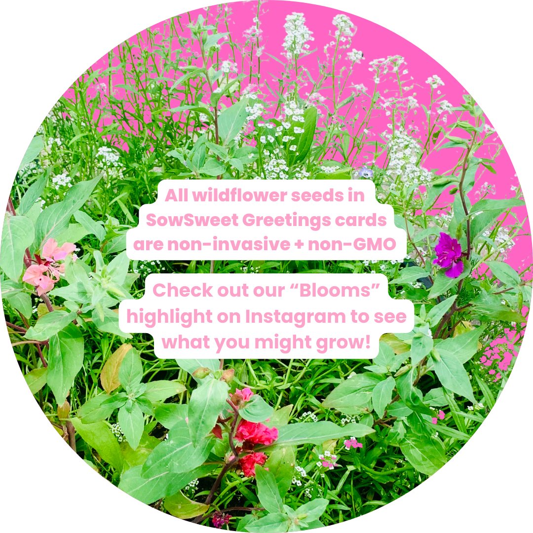 Sorry I Mist Your Birthday