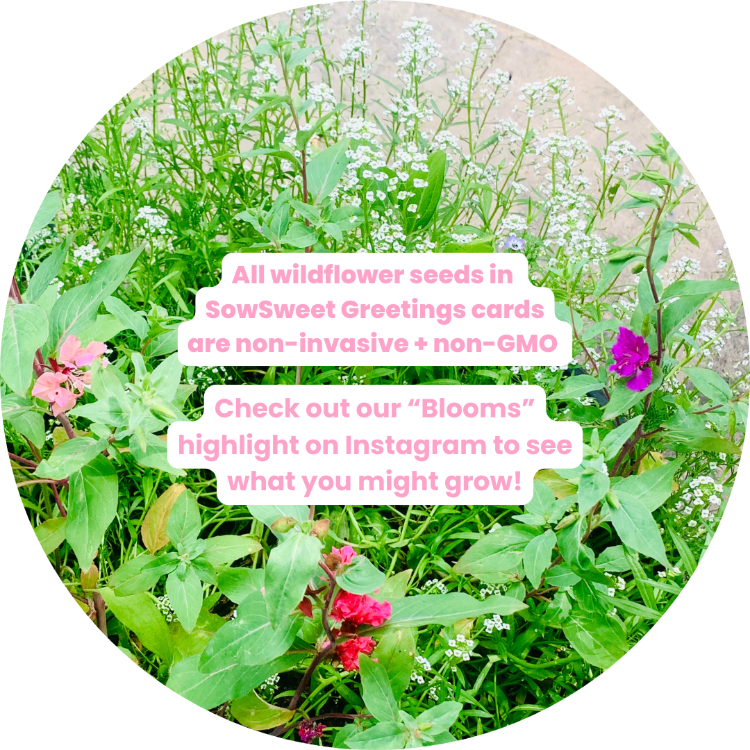 I Will Always Be There