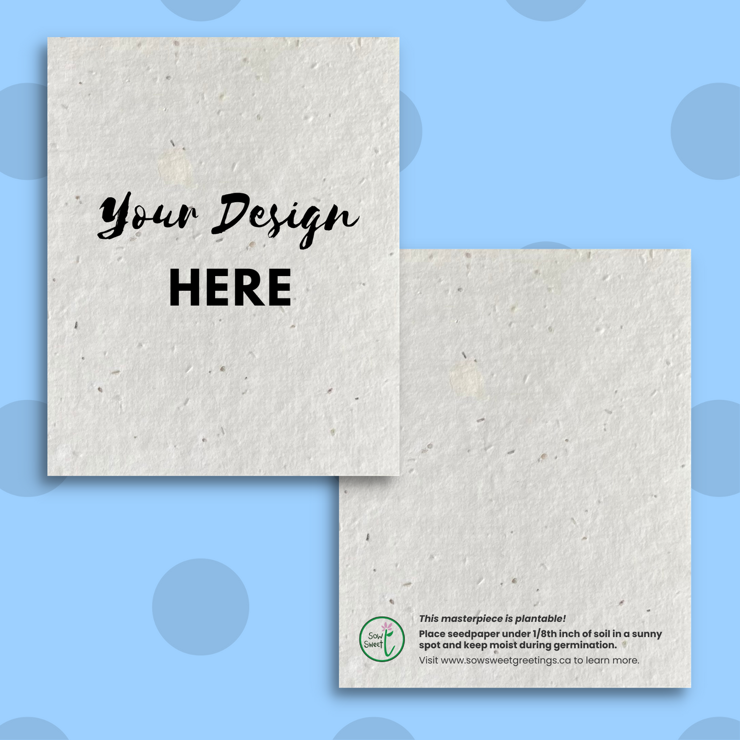 Paintable Postcard 4-Packs