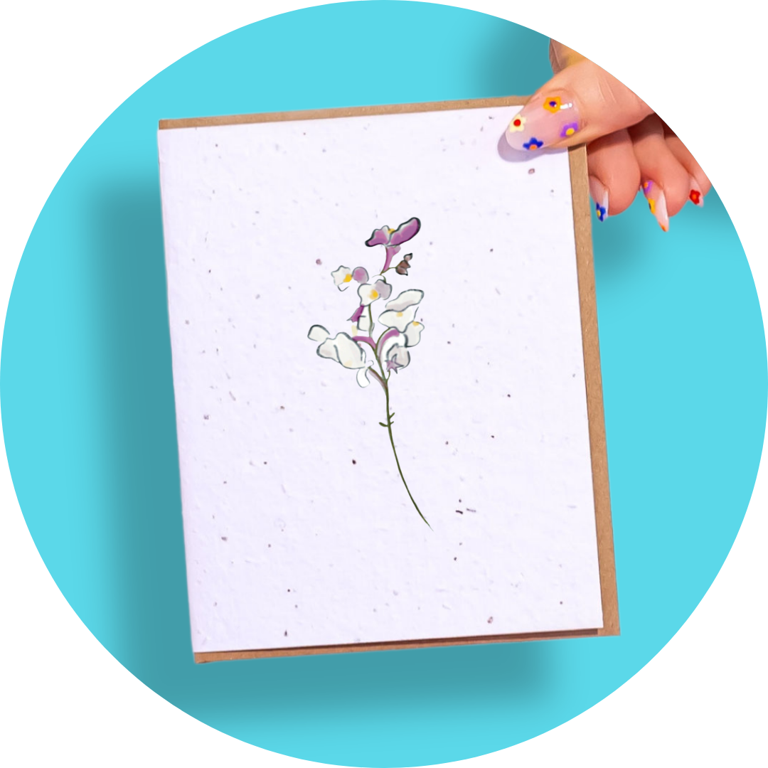 Snapdragon