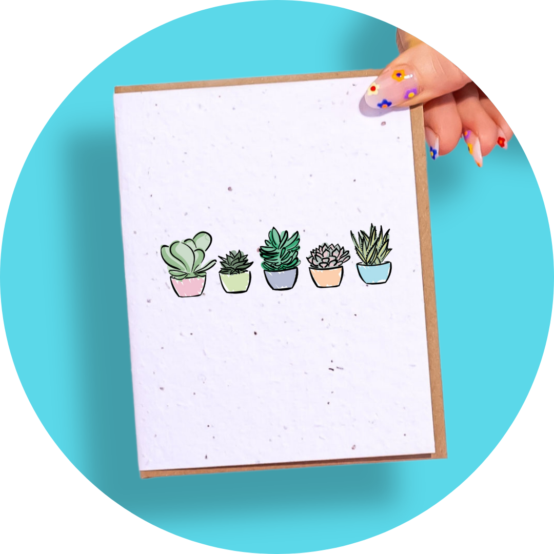 Succulents
