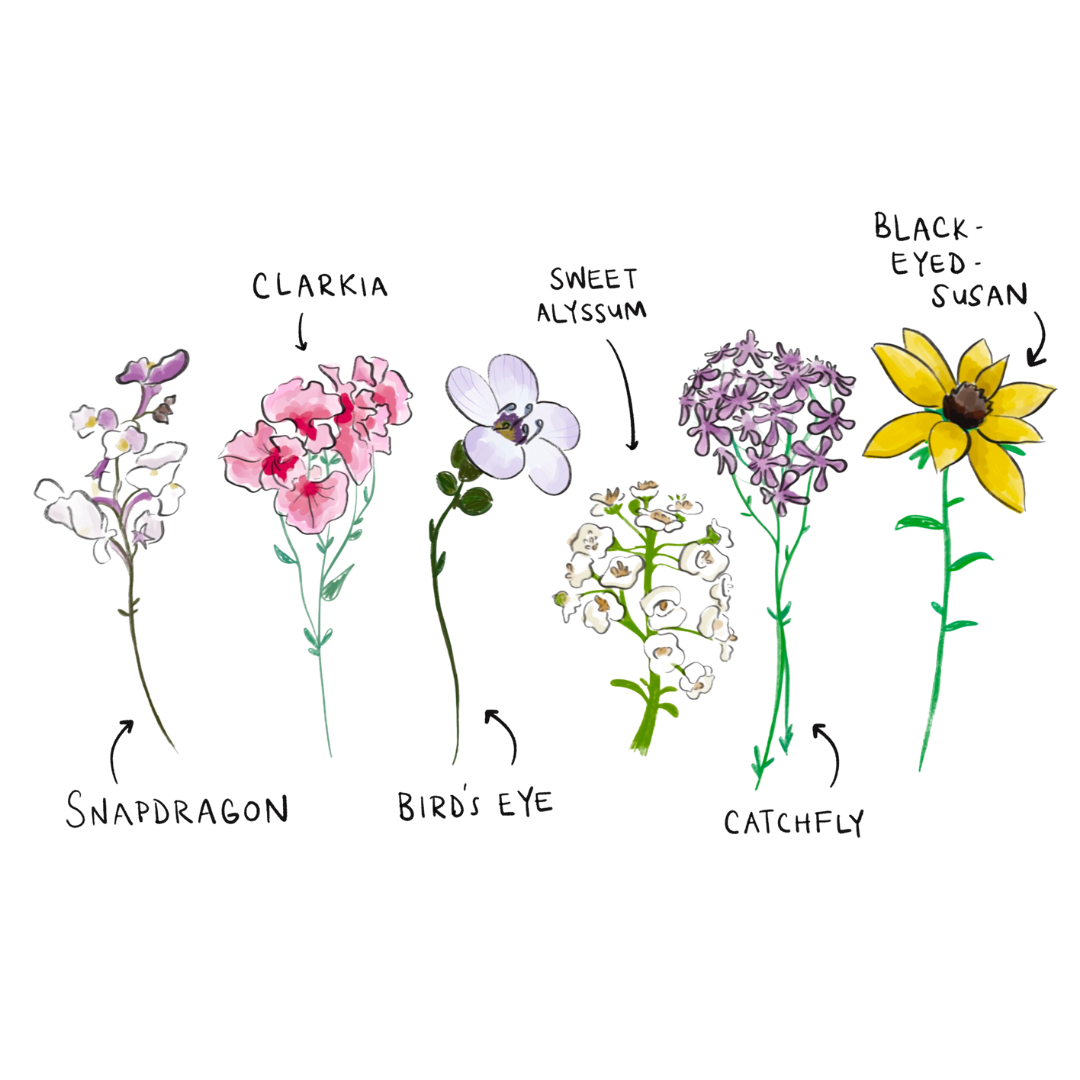Mum's The Word *Diverse Representations*