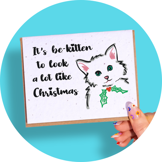 Bekitten To Look Like Christmas