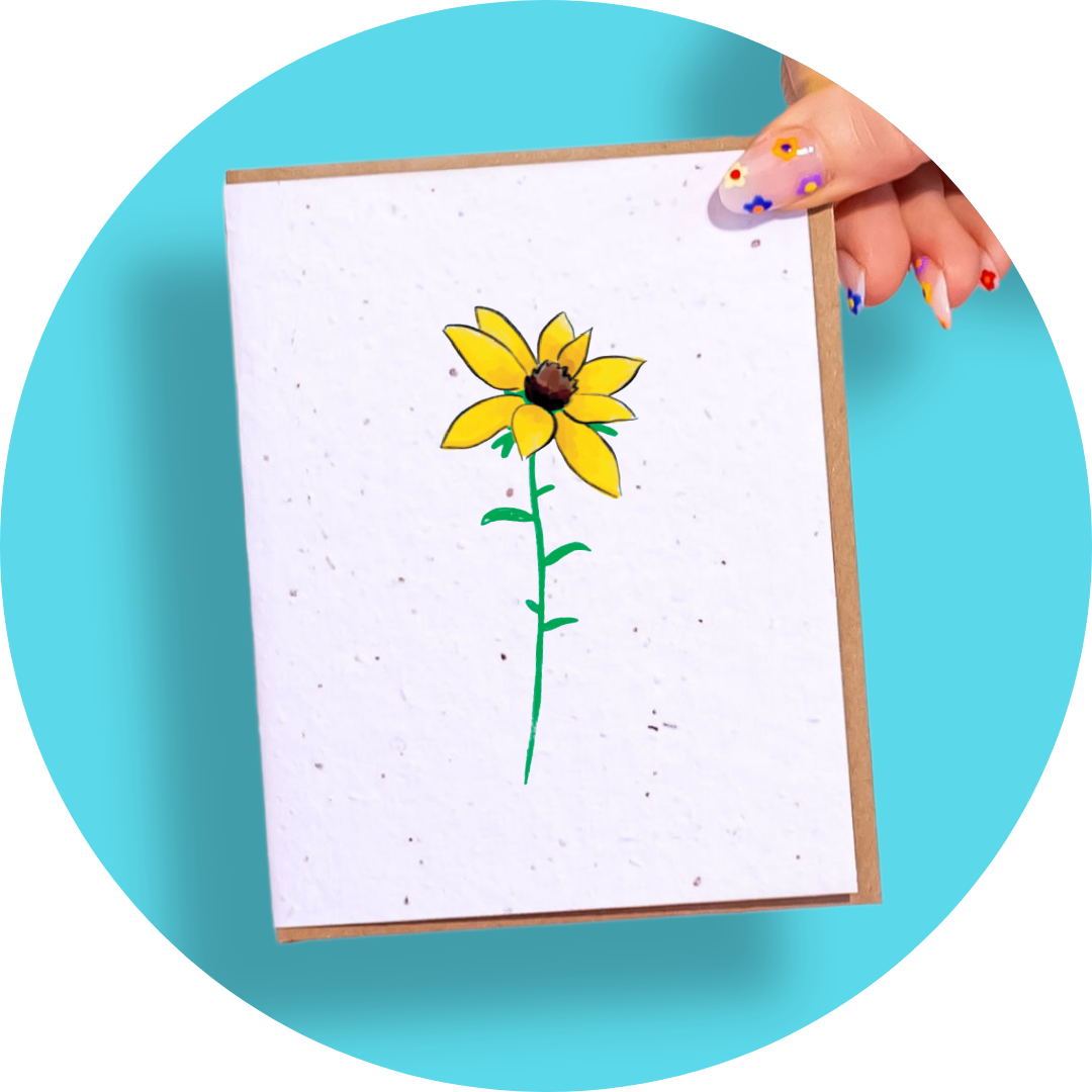 Black-Eyed Susan
