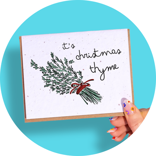 Christmas Thyme