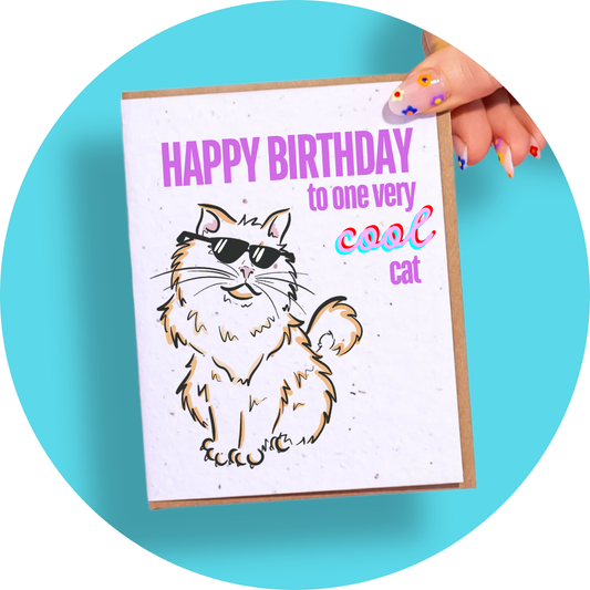 Cool Cat Birthday