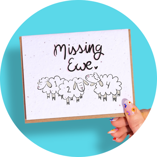 Missing Ewe