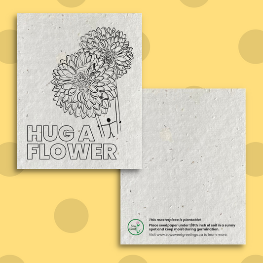 Paintable Postcard 4-Packs