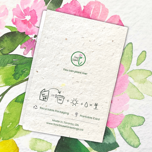 Native Flower - ON - Pocket Pun (3 per order)