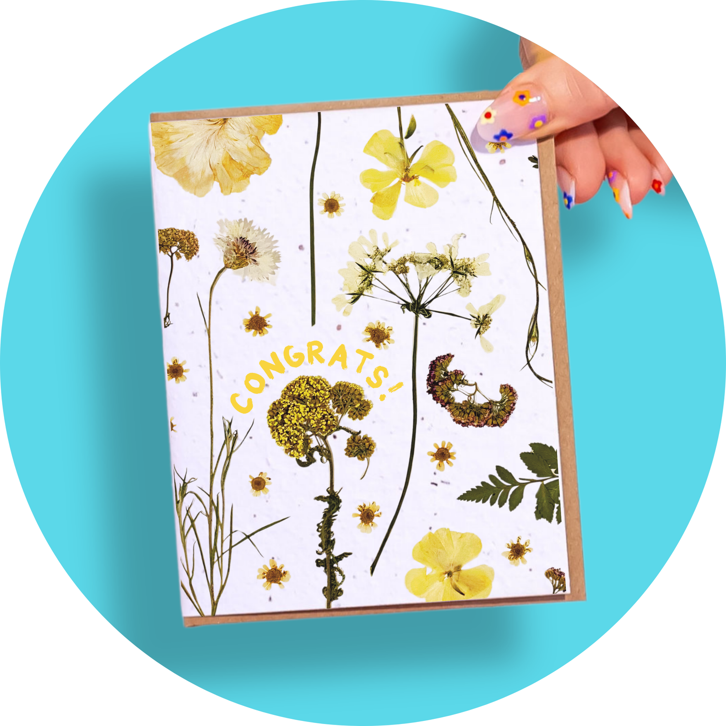 Pressed Flowers - Plantable Card Boxed Set