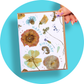 Pressed Flowers - Plantable Card Boxed Set