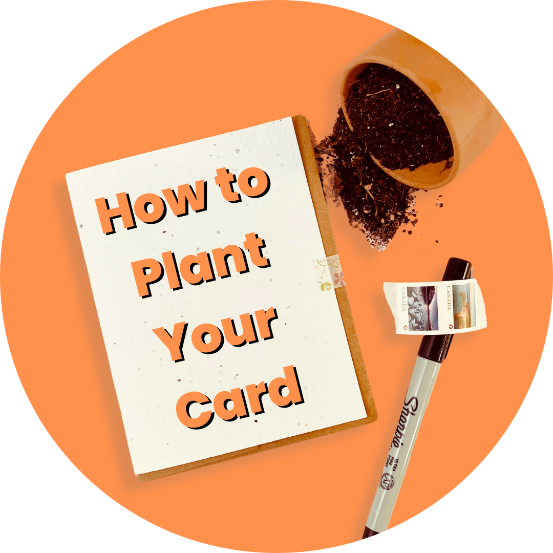 How to plant your card