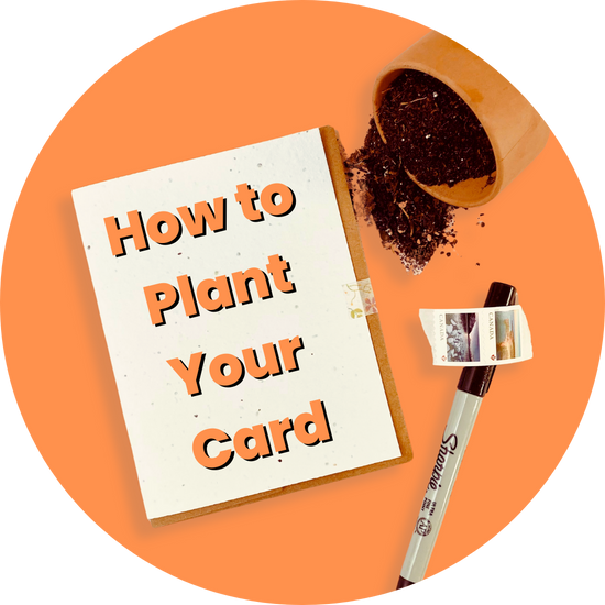 How to plant your card